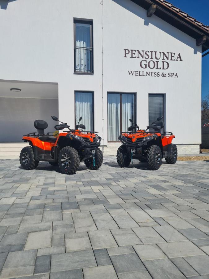 Pensiunea Gold Wellness&Spa Chiscau المظهر الخارجي الصورة